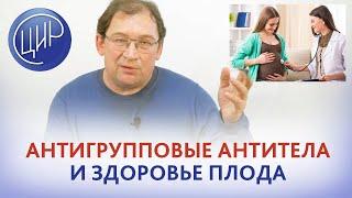 Антитела группы крови: влияют ли на здоровье плода антитела по АВ0? Групповой конфликт. Гузов И.И.