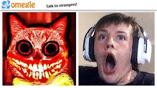 cute cat JUMPSCARE TROLLING on OMEGLE