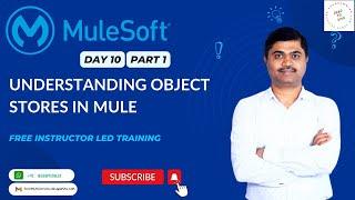 MULESOFT TRAINING DAY 10 - OBJECT STORE IN DETAIL