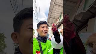 Dapet orderan paket barangnya itu ayam jago |Ojol gacor #gojek #ojol #trending #grab #ojolstory #fyp