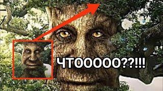 Проклятье мудрого дерева!? (The Curse of the Wise Tree)