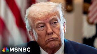 'It's a gangster state': Raskin eviscerates Trump after "No Kings" protest