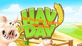 Советы как быстро поднять уровень! | Hay Day