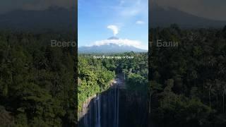 Один из лучших водопадов в моей жизни. Всего 6 часов езды от о.Бали.  #бали #bali #индонезия #ява