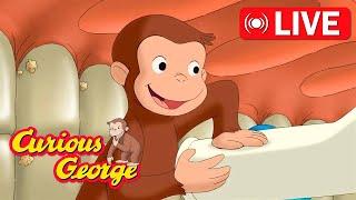  LIVE Curious George Full Episodes  Help George Clean his Teeth  Kids Cartoon  Kids Movies