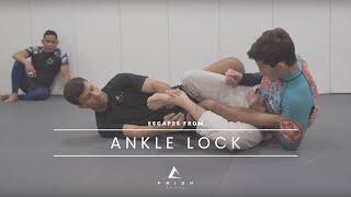 Escaping the straight ankle lock