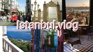 Istanbul vlog|meet 53 cats|Bosporus cruise|ottoman legacies|world capital|Turkish vibe