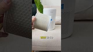 I Tried The VIRAL Air Purifier...