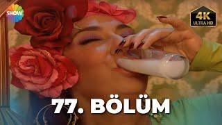 Cennet Mahallesi 77. Bölüm | Ultra HD 4K