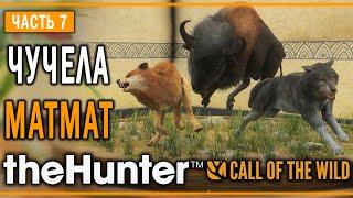 theHunter Call of the Wild #7  - Дерзкий Бизон - Кoмпозиции из Чучeл