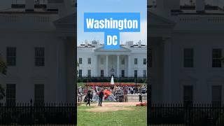 Discover Washington, D.C. in 60 Seconds! #WashingtonDC #Travel #USA #TravelShorts  #CityTour