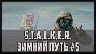 S.T.A.L.K.E.R. Зимний путь #5 (Лже артефакт)