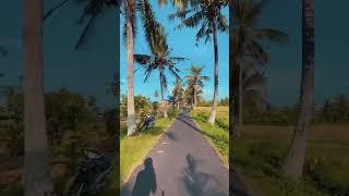 Вот что я люблю. Одно из любимых развлечений на #Бали #bali #bicycle #roadbike