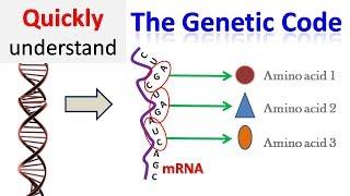 Genetic code