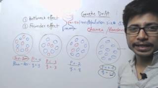 Genetic Drift - bottleneck and founder effect