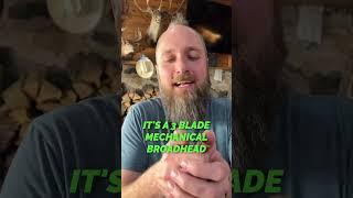420 Grain Arrow vs Buffalo, What Happens!?
