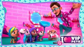  The VIP PETS are BACK  VIP Pets  s02e01  CARTOONS for KIDS in ENGLISH 