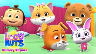 Five Little Babies | loco nuts nursery rhymes | loconuts kids songs | kids tv