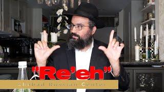 Torah Portion “Re’eh” / Rabbi Shmuel Kravitzky / Chabad RC Torah Club