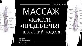 Массаж кисти и предплечья. Шведский подход. Андрей Яковлев