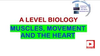 A level | Biology | Topic 7B | Muscles, Movement and the Heart | Pearson Edexcel