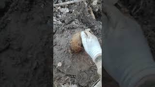 #металлокоп2025 нашел Паравоз