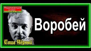 Воробей  Саша Чёрный читает Павел Беседин