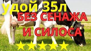 35л без сенажа и силоса!