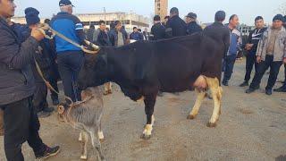 3 апрел fargona BESHBOLA CHORVA BOZORI narxlari