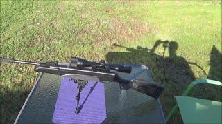 Stoeger A30 Accuracy Testing Jsb Hades & Ultra Shock & Rws Hobby