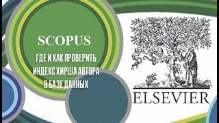 Где и как проверить индекс Хирша автора в базе данных Scopus