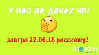 "ЧП"...У НАС НА ДАЧАХ !/...завтра 22.06.2018 я всё рассксжу!/ ВСЕ в ШОКЕ!