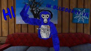 Hi, im BlueBerry VR.