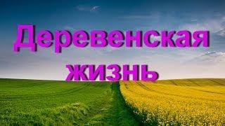 Деревенская жизнь