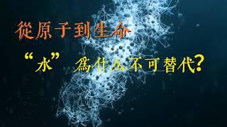 從原子到生命：從量子的角度看，「水」為什麼不可替代？