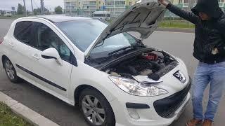 Где находится  vin (код) номер кузова Peugeot 308. (2008) года