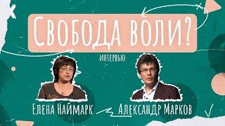 Свобода воли не нужна?  Елена Наймарк и Александр Марков [Vert Dider]