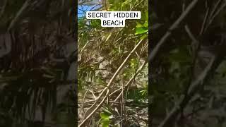 Secret beach #travel #explore #travelling #adventure #nudistbeach #nudist #beach #gsd  #beachdog
