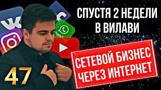 Сетевой бизнес в холодную. Спустя две недели в Вилави/Vilavi. МЛМ через интернет. Динамика в Вилави