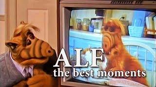 #ALF | Fans' Favorite Moments