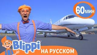 Песня про Самолеты | Обучающие песни для детей | Blippi Russian