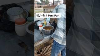 ₹2 के 4 Pani Puri  | Street Food | Golgappa | Fuchka | Puchka | Indian Street Food | #shorts