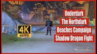 Neverwinter 2024 MMO Chronicles Underdark The Northdark Reaches Campaign Shadow Dragon Fight