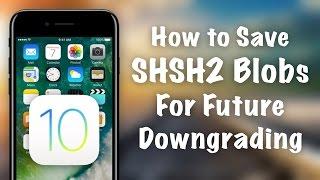 How to Prepare for iOS Downgrades - Save SHSH2 Blobs using TSSChecker