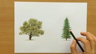 How to Draw Trees With Colored Pencils - Drawing Tutorial