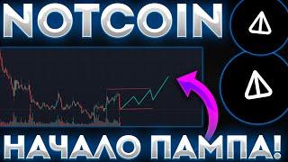 NOTCOIN ПОКАЗЫВАЕТ ЗАТИШЬЕ ПЕРЕД БУРЕЙ! ДАМП НОТ ПЕРЕД ПРОРЫВОМ! - НОТКОИН СЕГОДНЯ