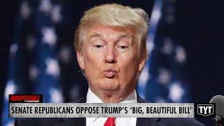 Senate Republicans Rage Against Trump's Massive Tax Bill