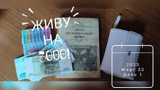 ЖИВУ НА 3000 С ДВУМЯ ДЕТЬМИ день 1