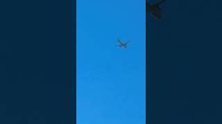 Plane spotted up in the sky | #aviation #planespotting #shorts plane