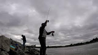 FISH4FUN: TAIL- RACE FISHING AT TRUMAN LAKE SPILLWAY